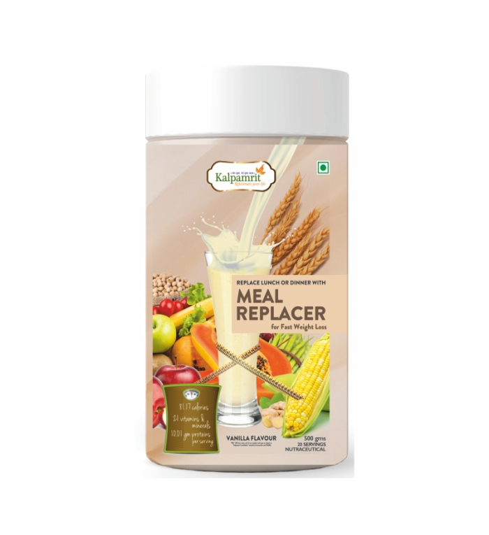 Meal Replacer 500 gm_1